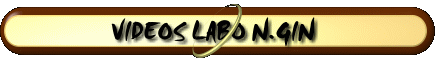 Vidos Labo N.Gin