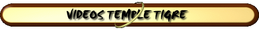 Vidos Temple Tigre